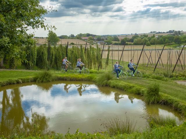 VELO RESEAU POINTS NOEUDS