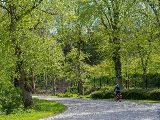 Cassel Ascension à vélo sur les pavés