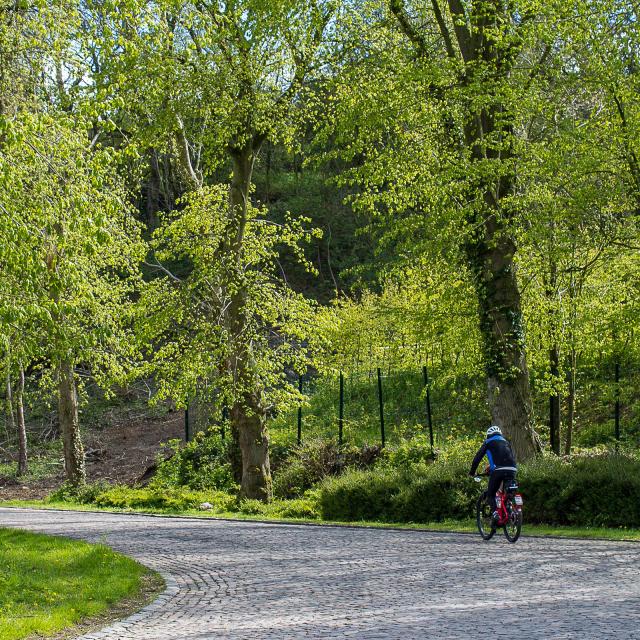 Cassel Ascension à vélo sur les pavés