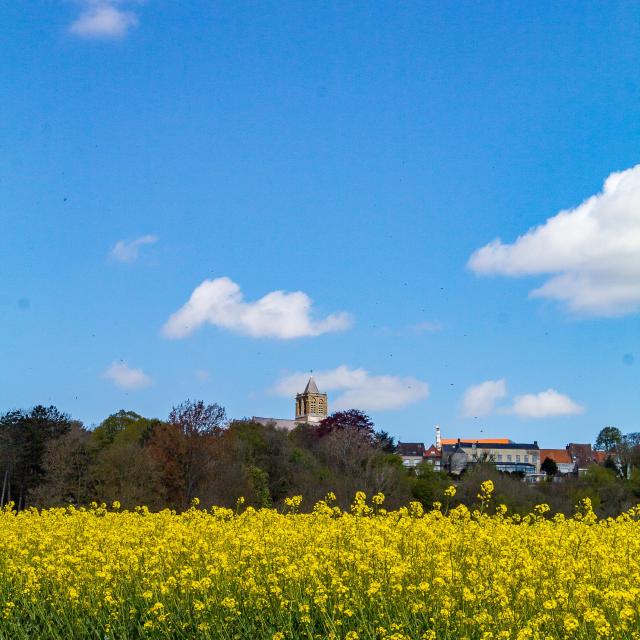 Vue de Cassel