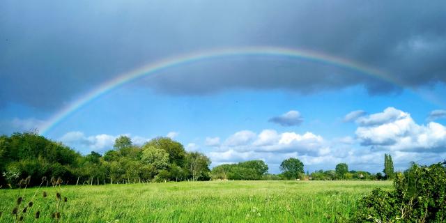 Arc en ciel dans la campagne flamande