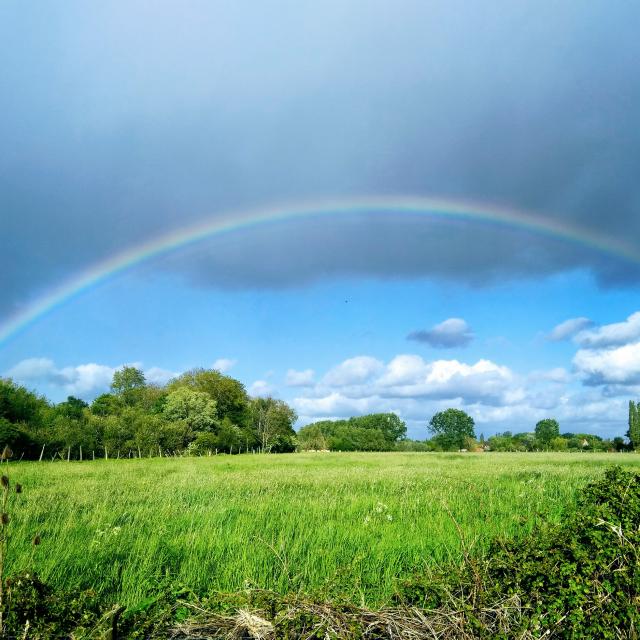 Arc en ciel dans la campagne flamande