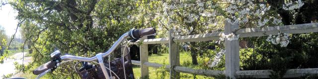 Balade à vélo en Flandre