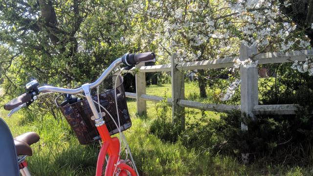 Balade à vélo en Flandre