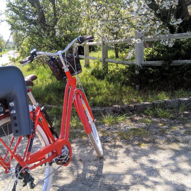 Balade à vélo en Flandre