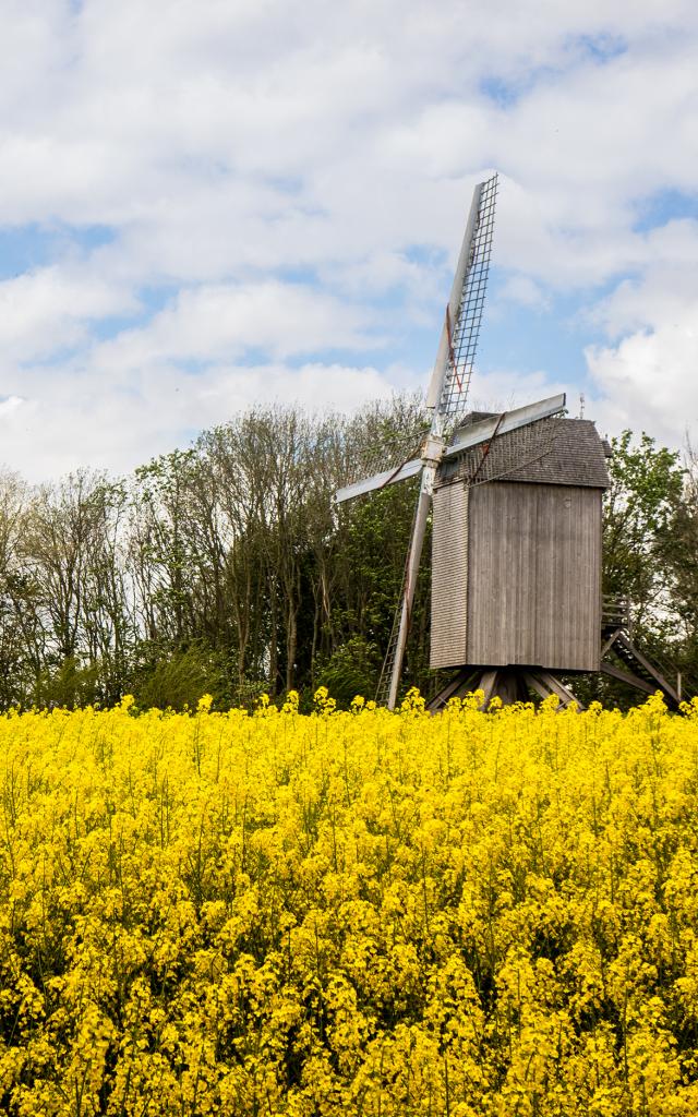 Terdeghem Moulin de la Roome