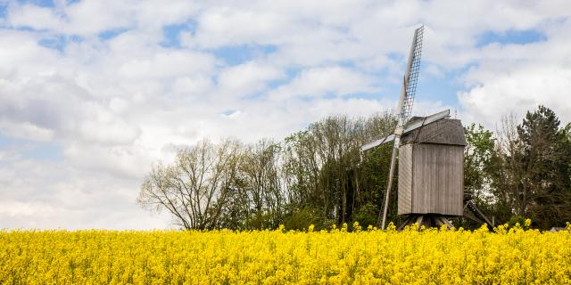 Terdeghem Moulin de la Roome