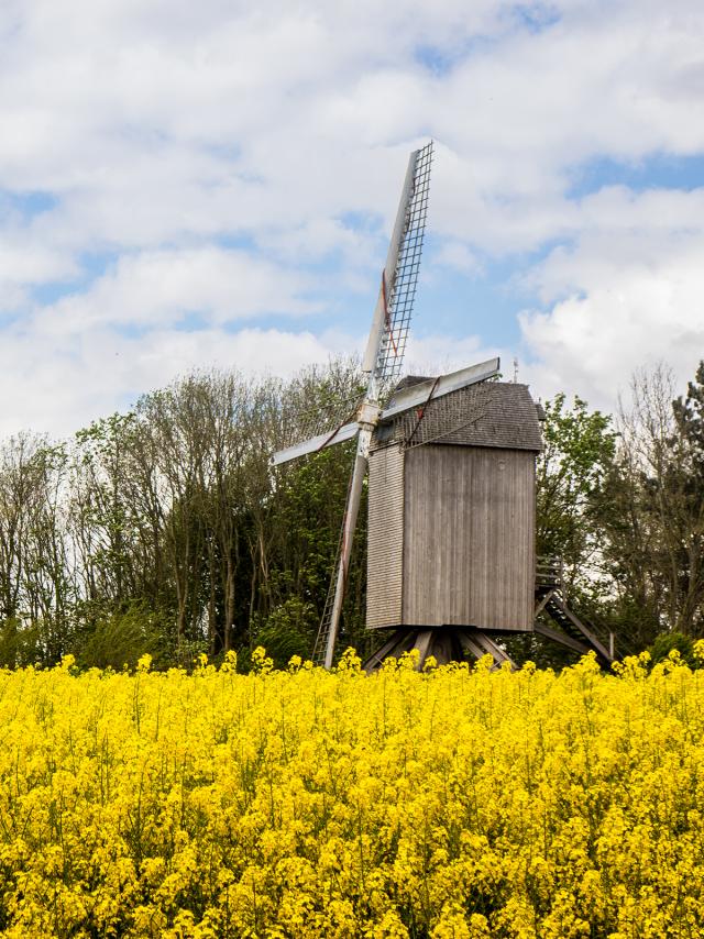 Terdeghem Moulin de la Roome