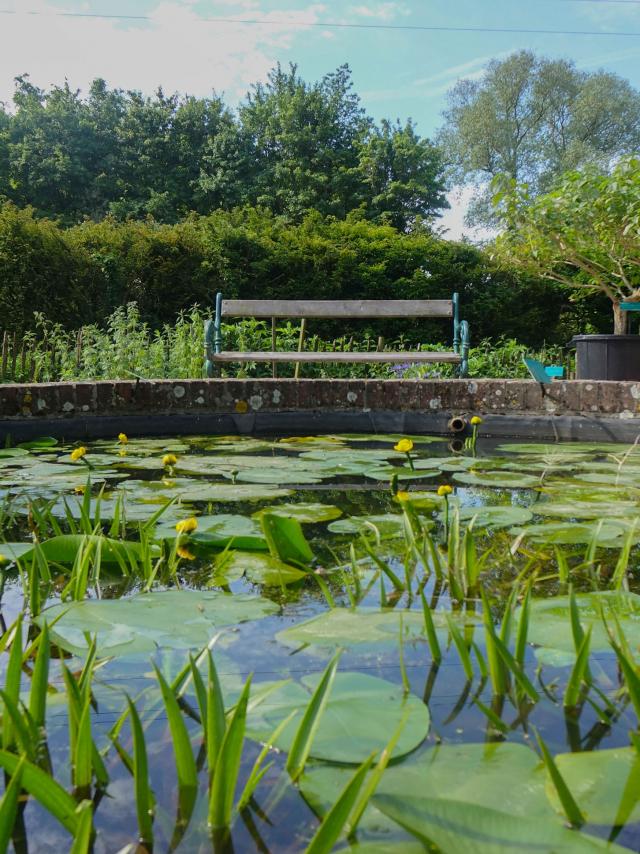 Conservatoire botanique de Bailleul