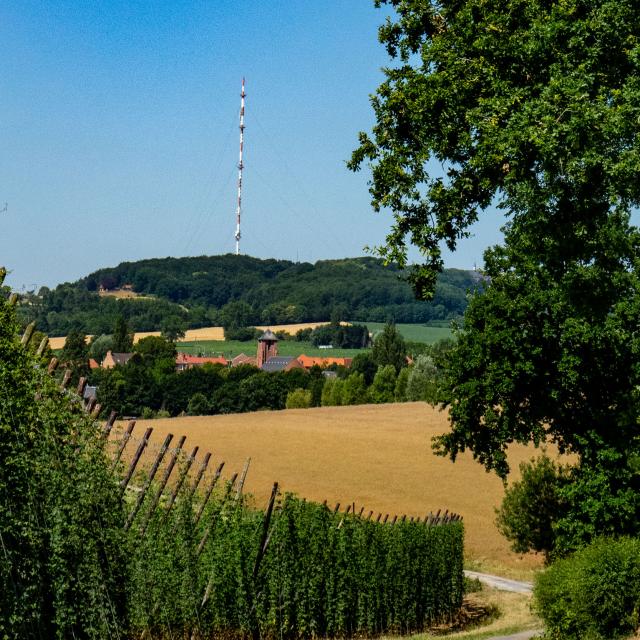 Panorama Boeschepe