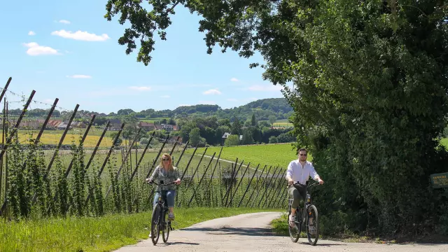 A vélo en Flandre