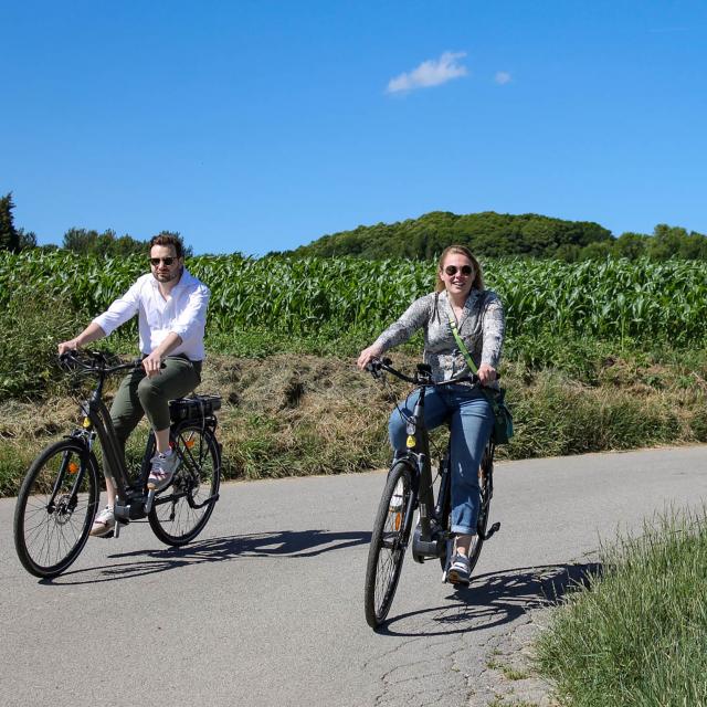 A vélo dans les Flandres