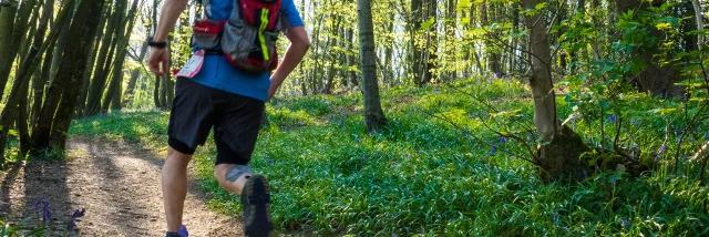 Nord Trail Monts de Flandre