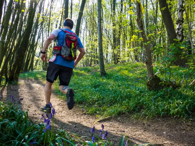 Nord Trail Monts de Flandre