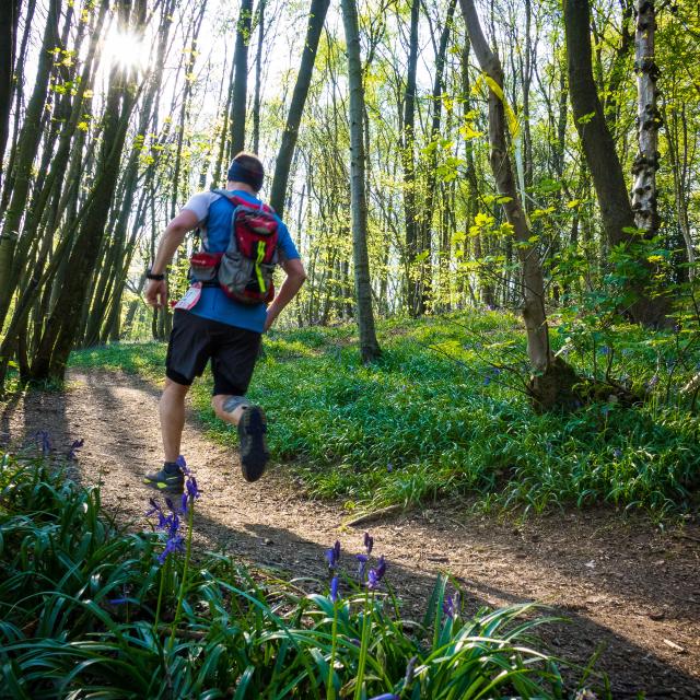 Nord Trail Monts de Flandre