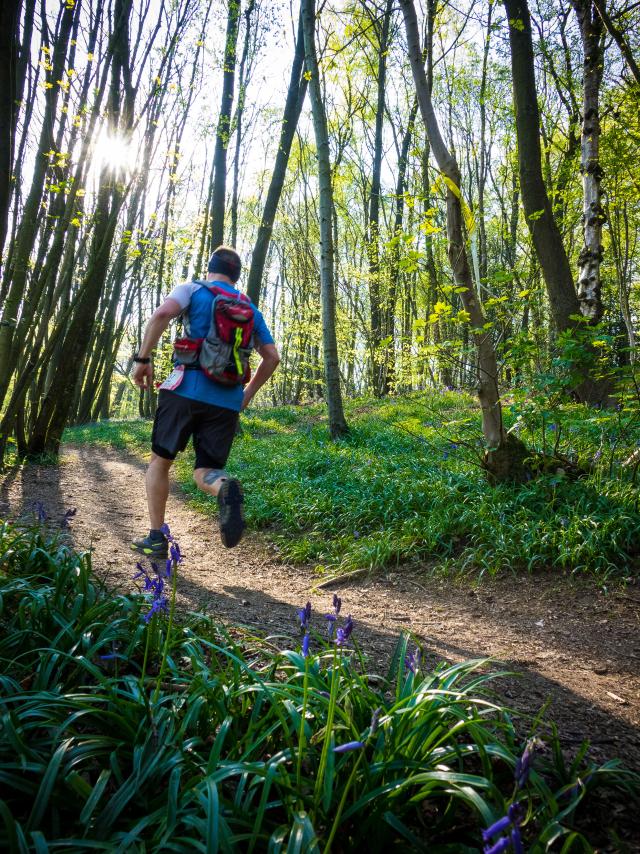 Nord Trail Monts de Flandre