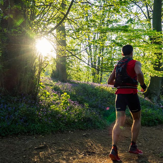 Ntmf Nord Trail Monts De Flandre (1)