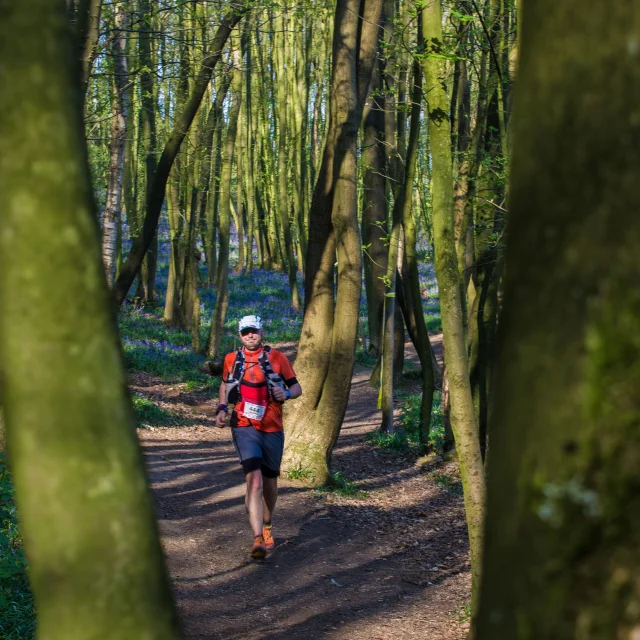 Ntmf Nord Trail Monts De Flandre (2)