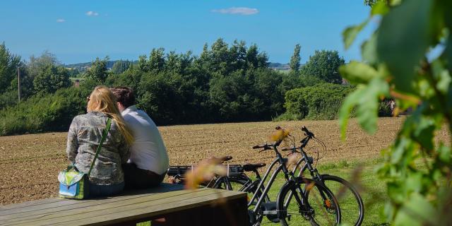 A vélo en Flandre