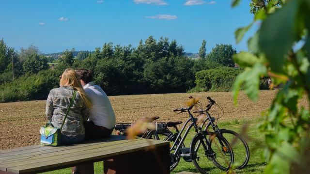 A vélo en Flandre