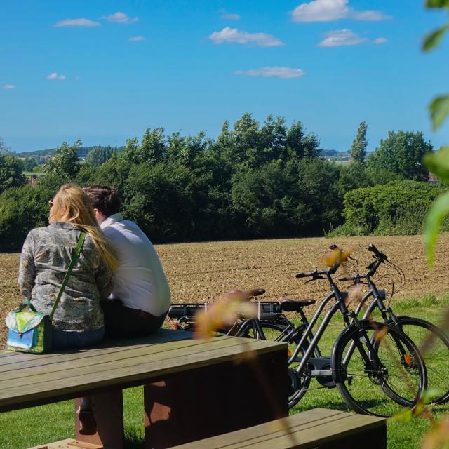 A vélo en Flandre