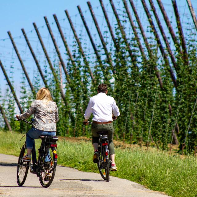 Reportage Velo Houblon Velo Juin 2022 6