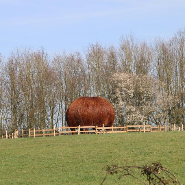 Aire-Land-Art-Bailleul-CBN-Photo-du-Cbn-de-Bailleul-2.jpg