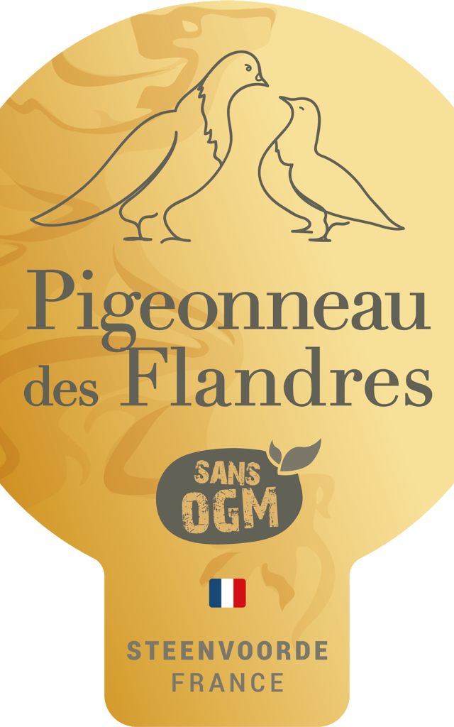 Flandre Pigeonneau Pastille