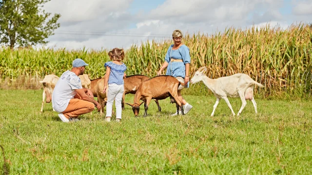 Visite à la ferme