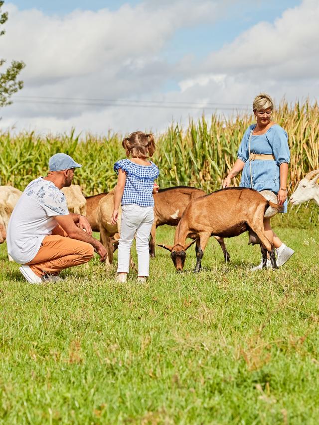 Visite à la ferme