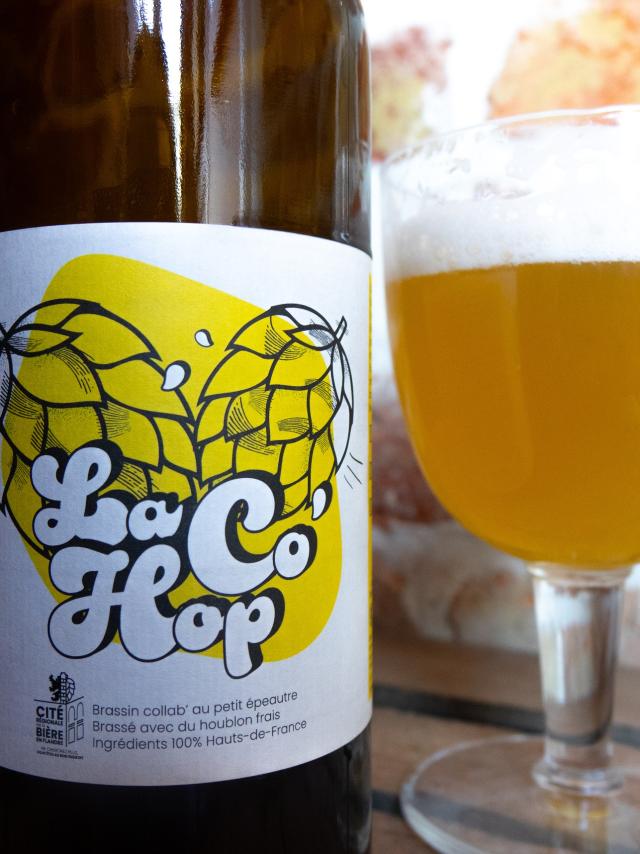 Cité Régionale de la Bière Flandre Bailleul Cohop